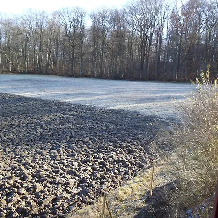 Martini Rammert 民宿 Großbettlingen