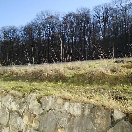 Martini Rammert * Großbettlingen